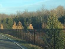 Commercial Chain Link Fencing Installation in Ajax, Oshawa, Pickering, Whitby, Toronto, GTA